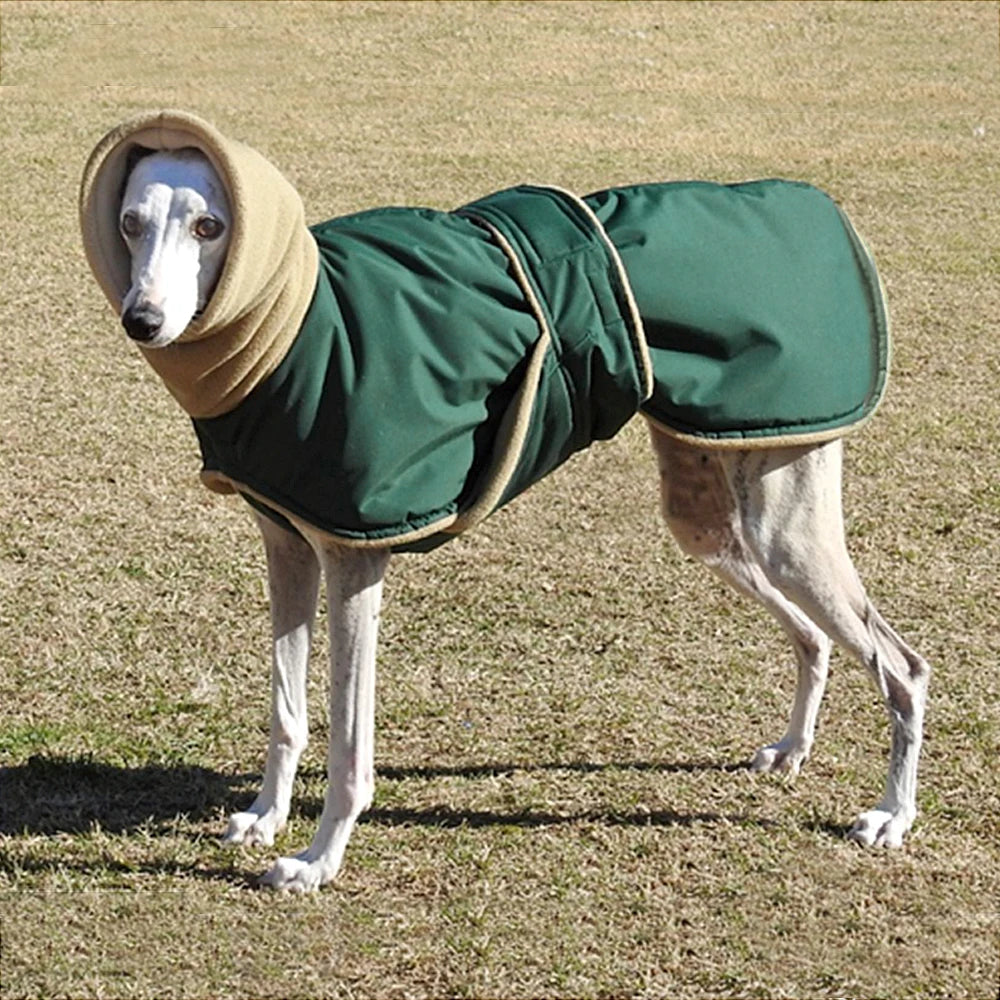 Greyhound Coat — Warm, Tailored Fit for Slim Bodies