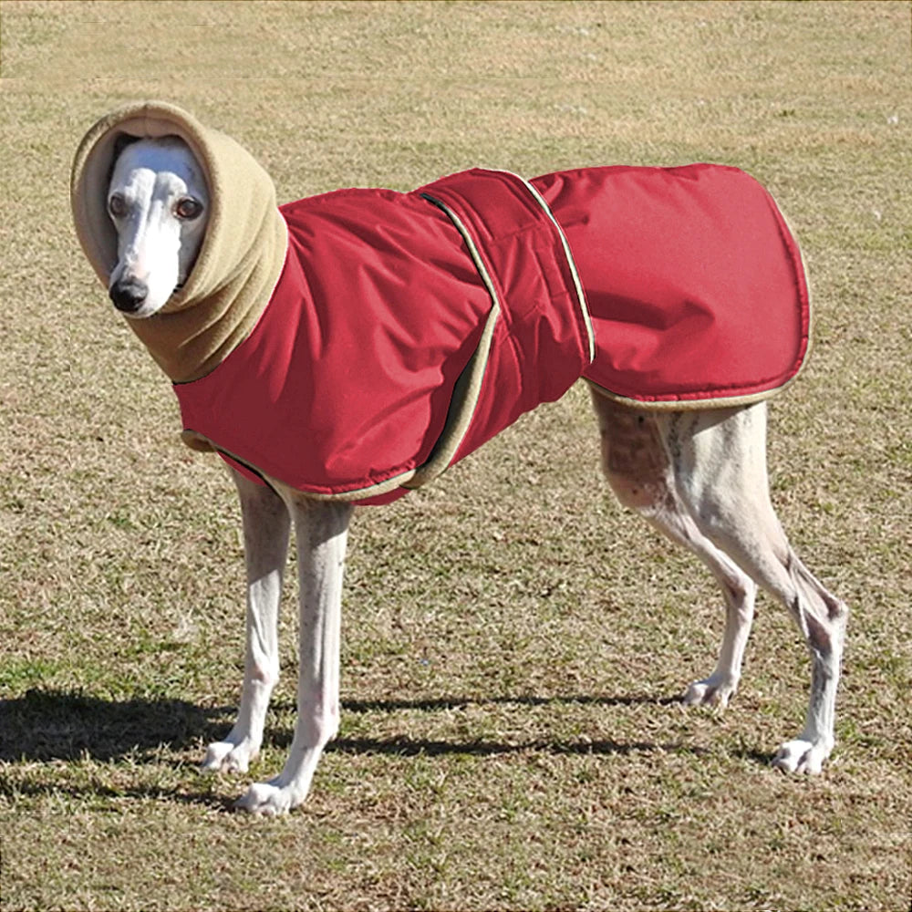 Greyhound Coat — Warm, Tailored Fit for Slim Bodies