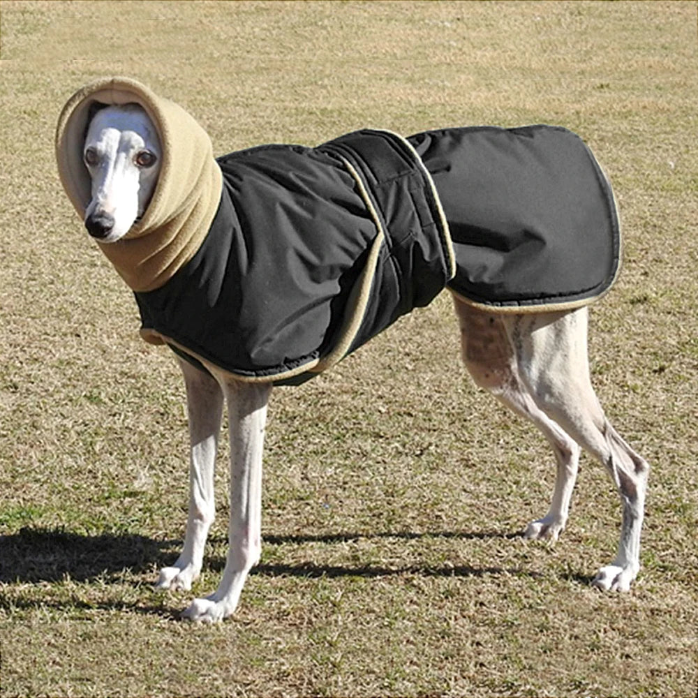 Greyhound Coat — Warm, Tailored Fit for Slim Bodies