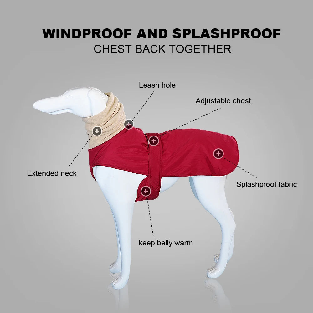 Greyhound Coat — Warm, Tailored Fit for Slim Bodies